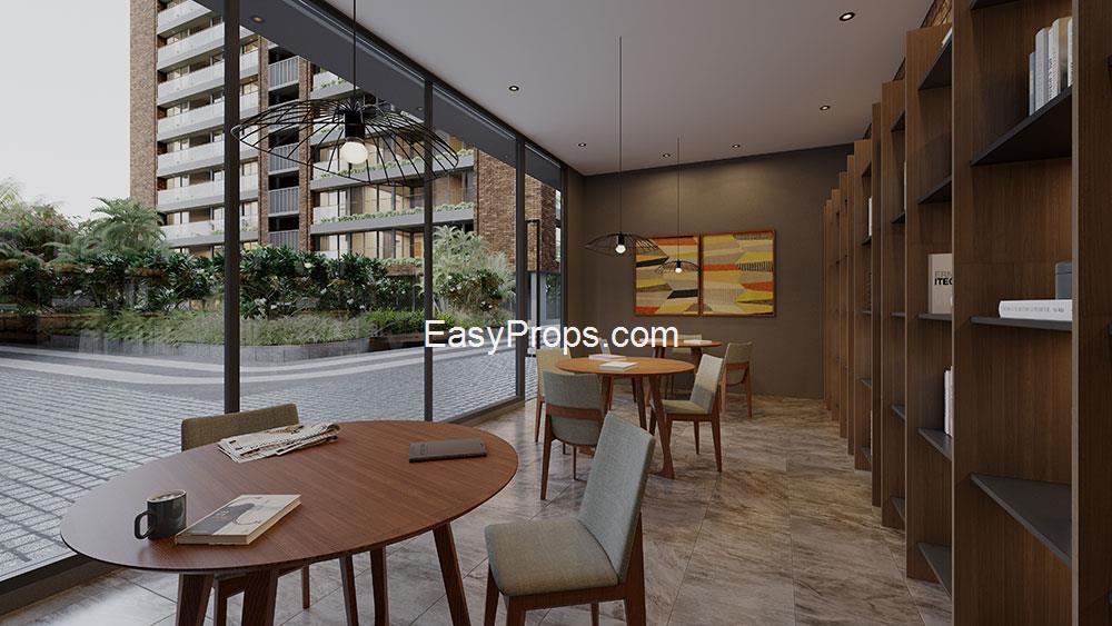 library-view (1)_20250305130000847.jpg